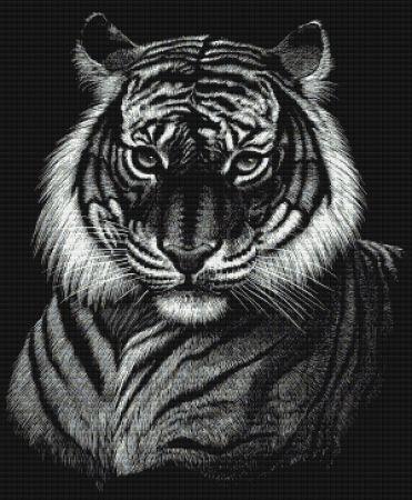 Dragon Tiger by Stanley Morrison - Paine Free Crafts