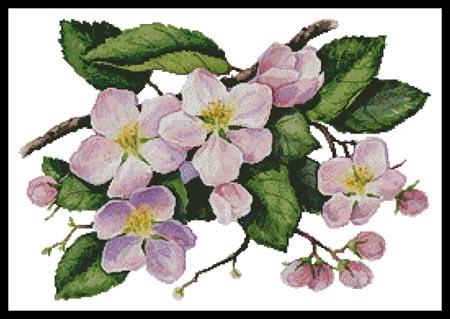 Apple Blossoms Painting - Artecy Cross Stitch