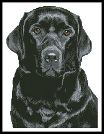 Black Labrador - Artecy Cross Stitch