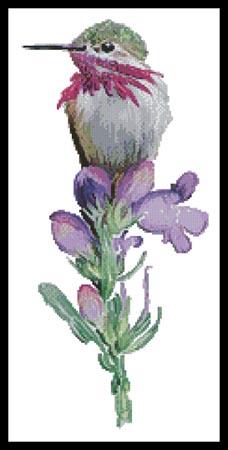 Calliope Hummingbird - Artecy Cross Stitch