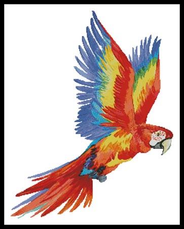 Colourful Macaw - Artecy Cross Stitch