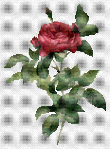 Rosa Gallica Pontiana - Art of Stitch, The