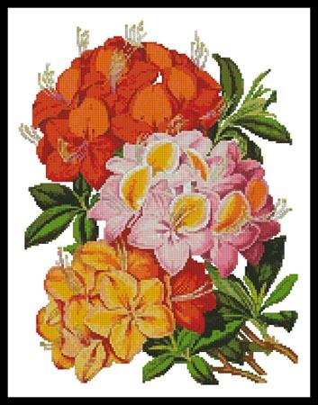 Hardy Azaleas - Artecy Cross Stitch