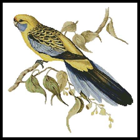Yellow Rumped Parakeet - Artecy Cross Stitch