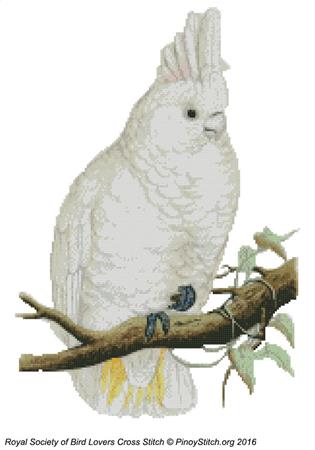 RSBL Cockatoo Goffins - PinoyStitch