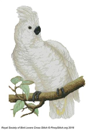 RSBL Cockatoo Great White Crested - PinoyStitch