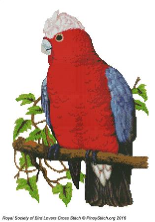 RSBL Cockatoo Rosebreasted - PinoyStitch