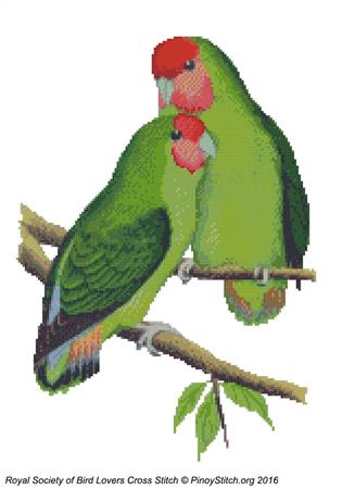 RSBL Lovebird Rosyface - PinoyStitch