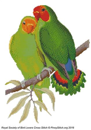 RSBL Lovebird West Africa - PinoyStitch