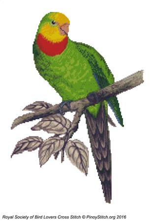 RSBL Parakeet Barrabands - PinoyStitch