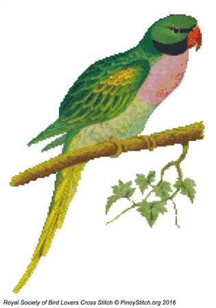 RSBL Parakeet Javan - PinoyStitch