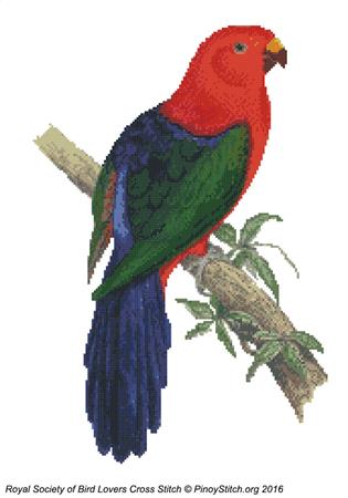 RSBL Parakeet King Parrot - PinoyStitch