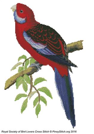 RSBL Parakeet Pennants - PinoyStitch