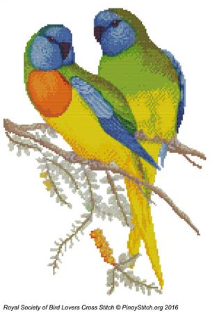 RSBL Parakeet Splendid - PinoyStitch