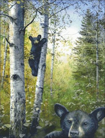 Can't Bear To Look - Charting Creations