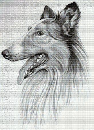 Highland Collie by Darrel Bevan - Paine Free Crafts