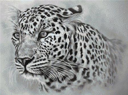 Leopard by Darrel Bevan - Paine Free Crafts