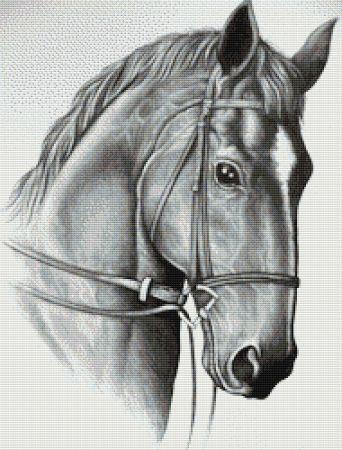 Horse by Darrel Bevan - Paine Free Crafts