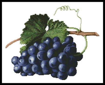 Fruit Of the Vine - Artecy Cross Stitch