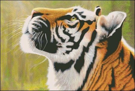 Snippet Peace And Power: Tiger - Charting Creations