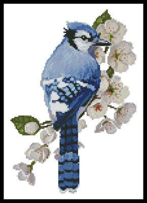 Little Blue Jay - Artecy Cross Stitch