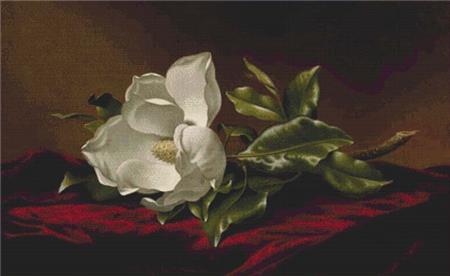 Magnolia Grandiflora - X Squared Cross Stitch
