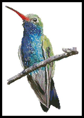 Broad-Billed Hummingbird - Artecy Cross Stitch