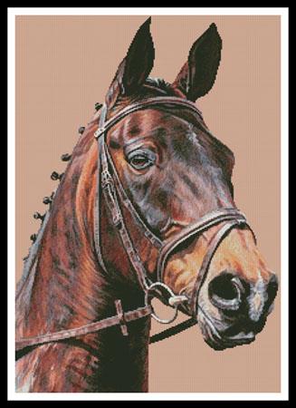Horse Portrait - Artecy Cross Stitch