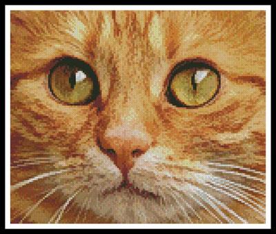 Ginger Cat Close Up - Artecy Cross Stitch