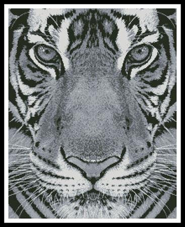 Bengal Tiger (Black And White) - Artecy Cross Stitch