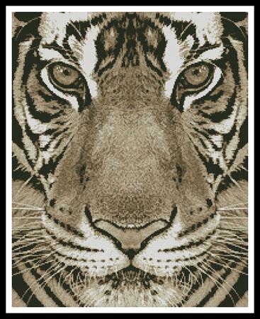 Bengal Tiger (Sepia) - Artecy Cross Stitch