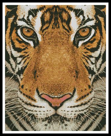 Bengal Tiger (Colour) - Artecy Cross Stitch