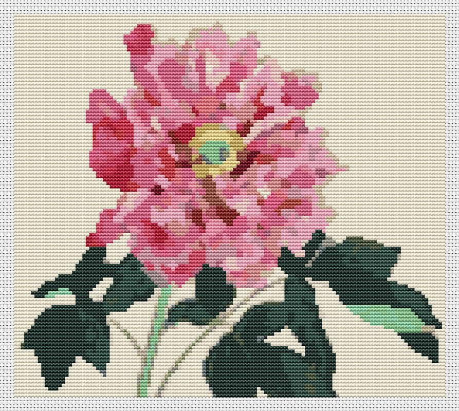 Peonies - Art of Stitch, The