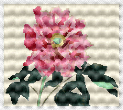 Peonies - Art of Stitch, The