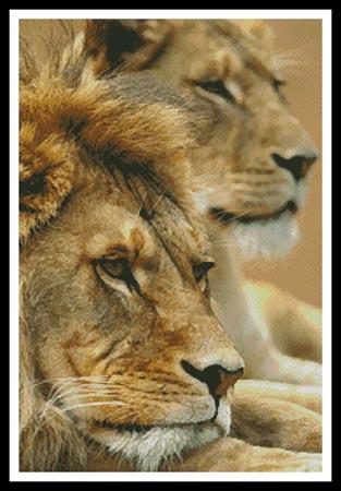 Lion Couple - Artecy Cross Stitch