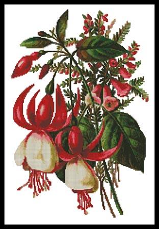Fuchsia 3 - Artecy Cross Stitch