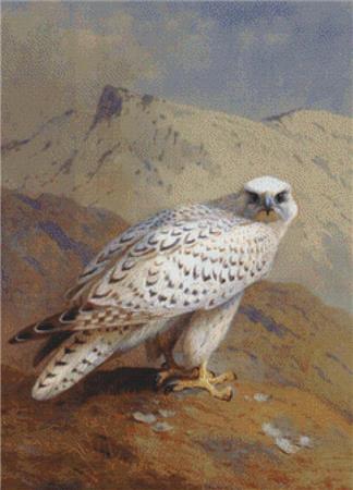 Gyr Falcon - X Squared Cross Stitch