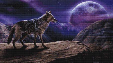 The Lone Coyote by Jocarra - Paine Free Crafts