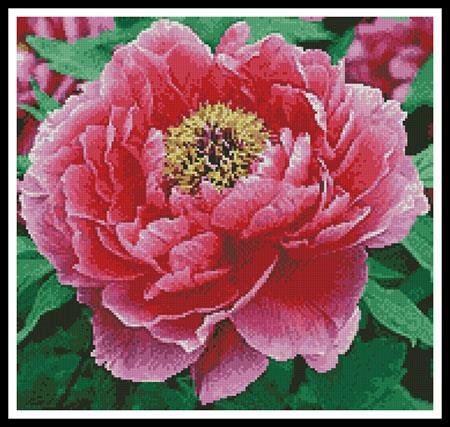 Peony (Crop) - Artecy Cross Stitch