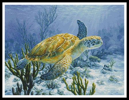 Ancient Mariner - Artecy Cross Stitch