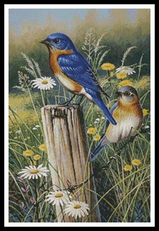 Eastern Beauties - Artecy Cross Stitch