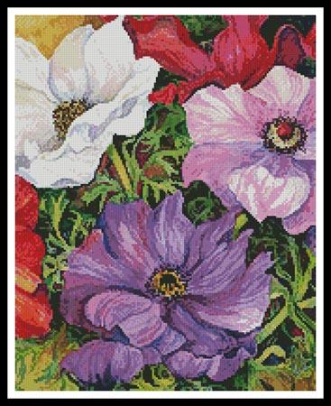 Colourful Anemones (Crop) - Artecy Cross Stitch