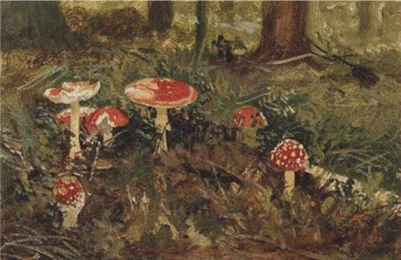 Amanita - X Squared Cross Stitch