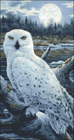 Snippet Snowy Owls - Charting Creations