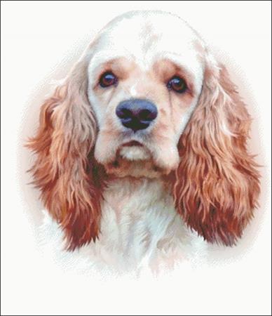 American Cocker Spaniel - Charting Creations