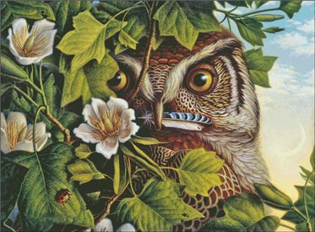 Owl - Charting Creations