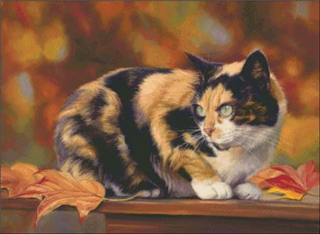 Calico In The Fall - Charting Creations