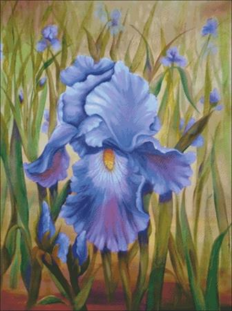 Purple Iris - Charting Creations