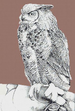 Owl On Glove by Simon Paine - Paine Free Crafts