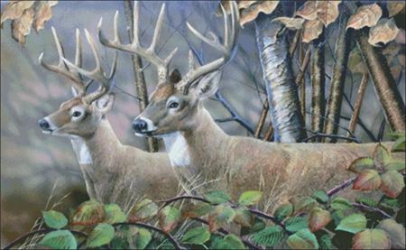 Blackberry Vines White Tail Deer - Charting Creations